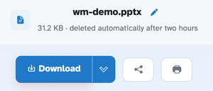 The ready page showing wm-demo.pptx — 31.2 KB · deleted automatically after two hours — above the Download button