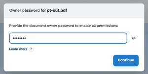 The same owner-password card with the password typed in and the Continue button now active