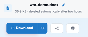 The ready page showing wm-demo.docx — 36.0 KB · deleted automatically after two hours — above the Download button