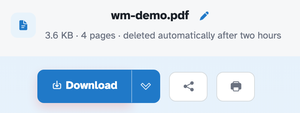 The ready page showing wm-demo.pdf — 3.6 KB · 4 pages · deleted automatically after two hours — above the Download button