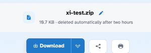 The ready page showing xi-test.zip — 10.7 KB, deleted automatically after two hours — above the Download button